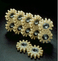 large tooth